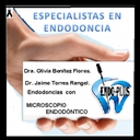 Dr. Torres Rangel endodoncia
