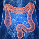 Dr. Benjamín Arias Pesquera Coloproctología